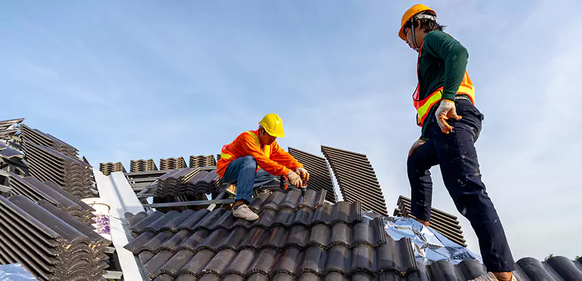 Professional Roofing Services in Bellevue, WA