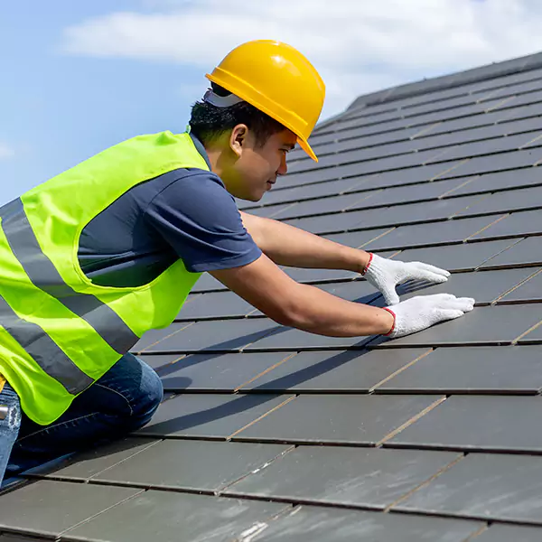 Why Bellevue Businesses Rely on Bellevue Roofing Co for Roof Maintenance?