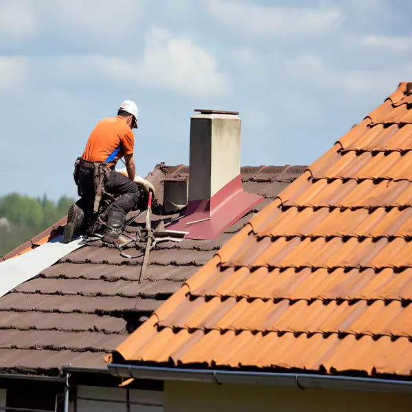 Why Bellevue Roofing Co Is the Right Choice for Shed Roofing in Bellevue, WA?